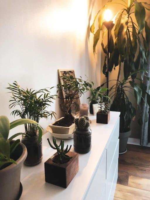 Superbe Appartement T3 Dans L'Hyper Centre Blois Bagian luar foto